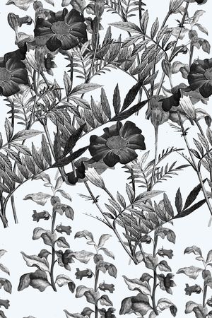 服装印花华亿平台图片