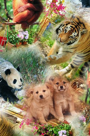 动物风景印花华亿平台图片