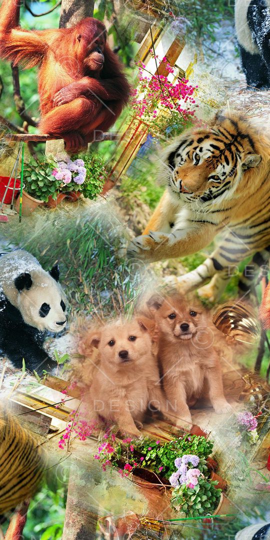 动物风景印花华亿平台图片