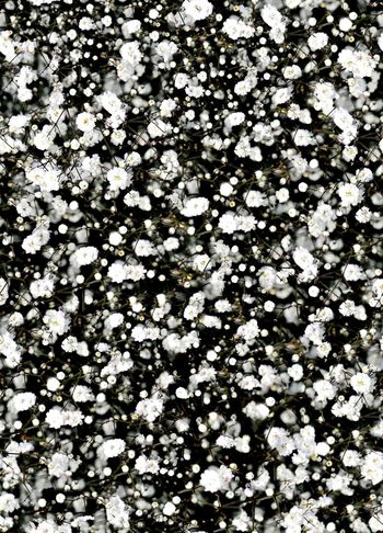 387501-2015春夏纪梵希黑白枝叶小碎花图