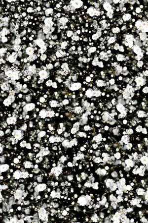 2015印花华亿平台图片