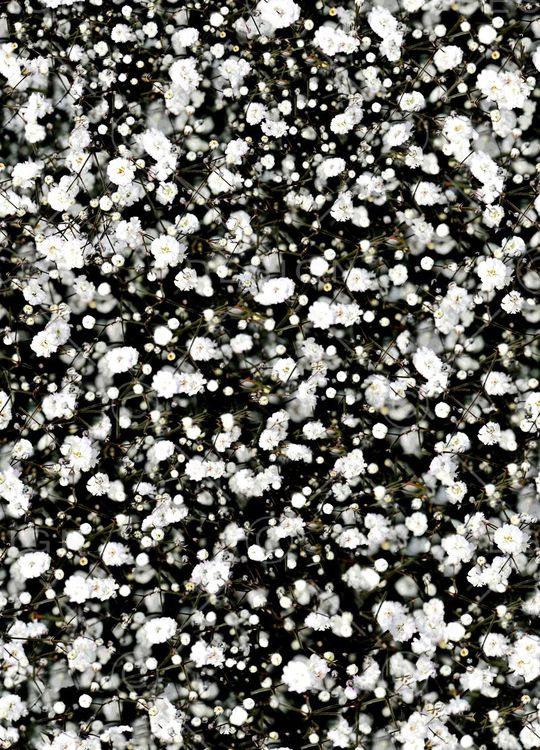 2015印花华亿平台图片