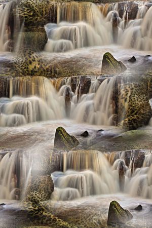 风景印花华亿平台图片