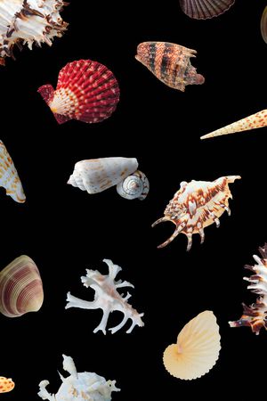 大气印花华亿平台图片