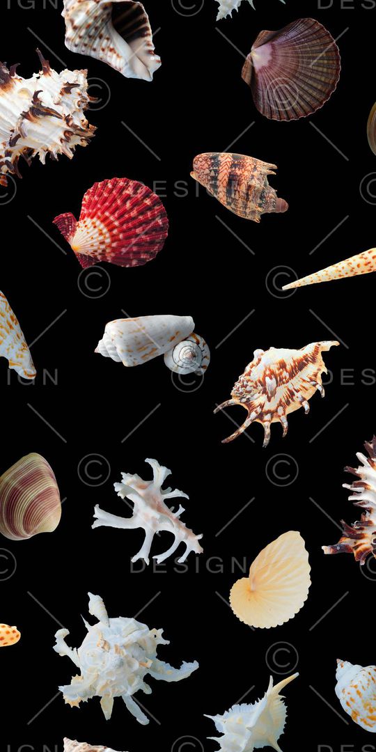 大气印花华亿平台图片