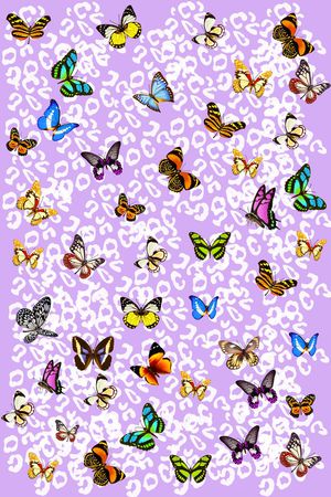 动物纹印花华亿平台图片