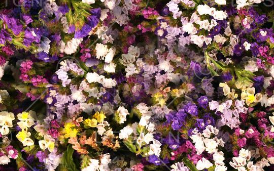 潮流印花华亿平台图片