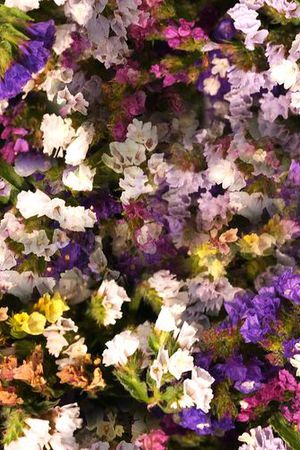 潮流印花华亿平台图片