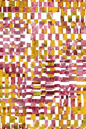 潮流印花华亿平台图片