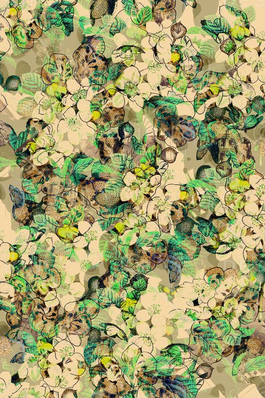 美丽手绘花卉和叶子印花华亿平台图片