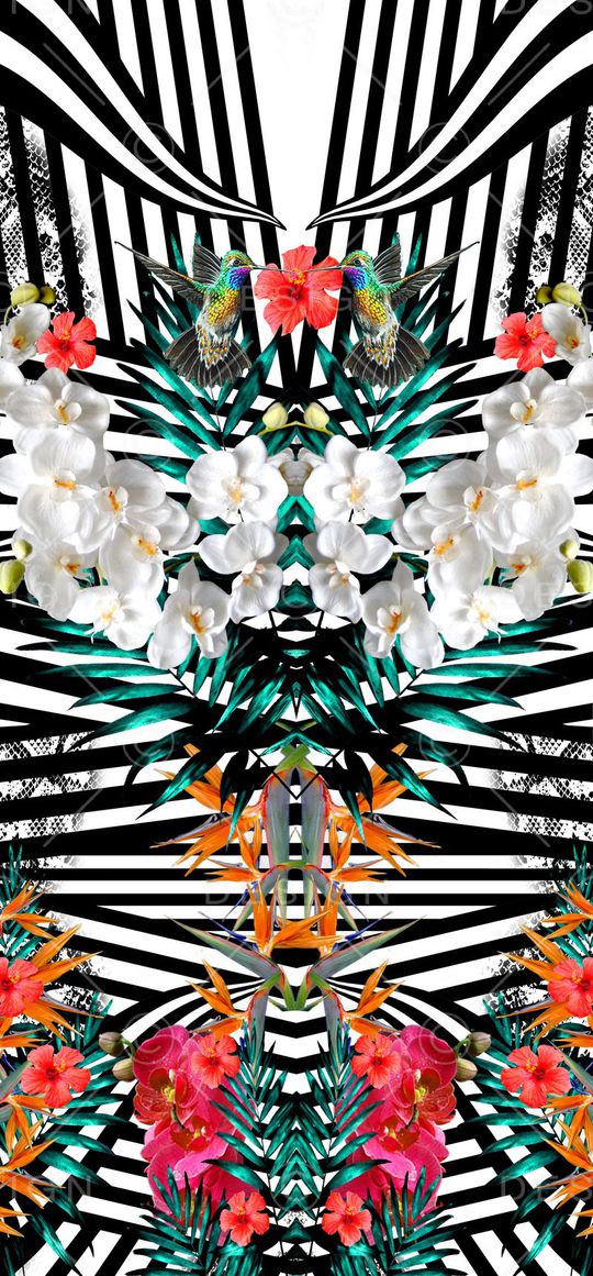 热带印花华亿平台图片