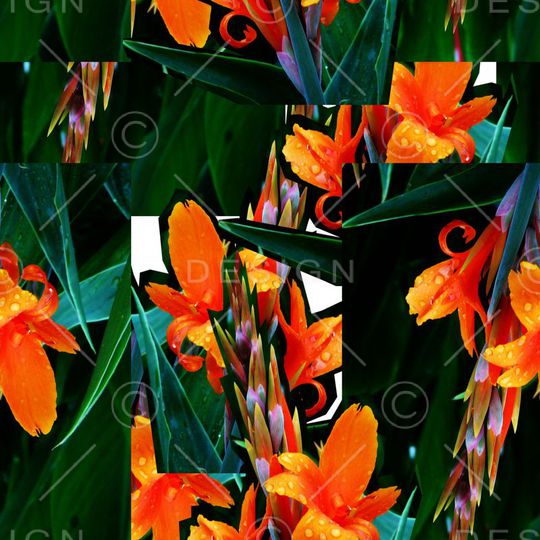 潮流印花华亿平台图片