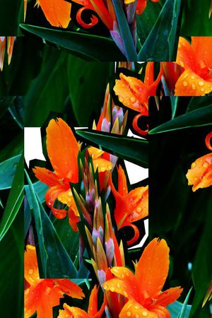 潮流印花华亿平台图片