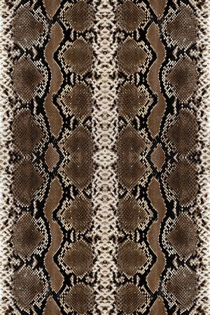 超级仿真蛇皮蛇纹印花华亿平台图片