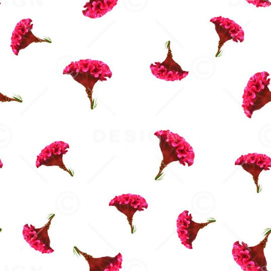 潮流印花华亿平台图片