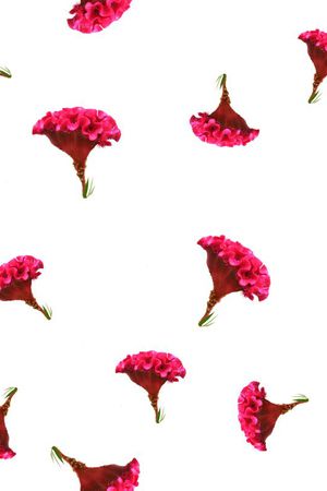 潮流印花华亿平台图片