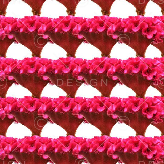 潮流印花华亿平台图片