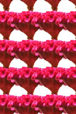 潮流印花华亿平台图片