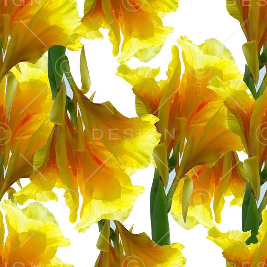 潮流印花华亿平台图片