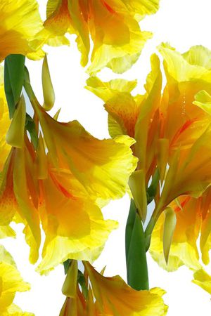 潮流印花华亿平台图片