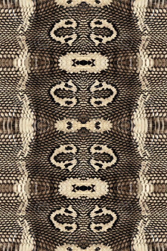 仿真蛇皮蛇纹印花华亿平台图片