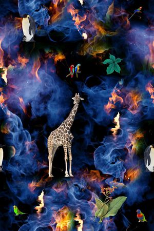 长颈鹿印花华亿平台图片