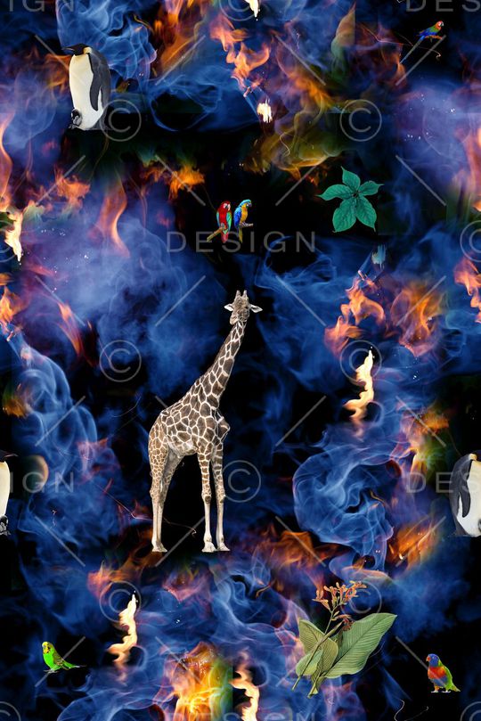 长颈鹿印花华亿平台图片