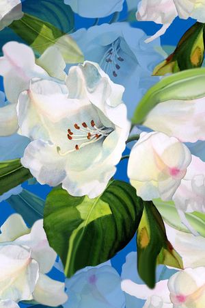 花卉  花  花样印花华亿平台图片