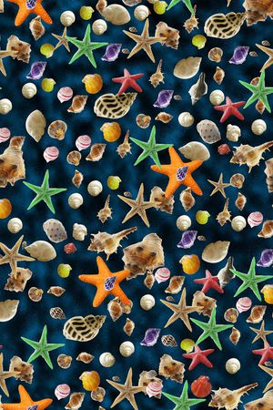 多彩贝壳印花华亿平台图片