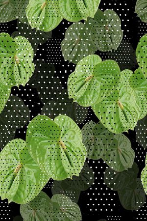 波点印花华亿平台图片