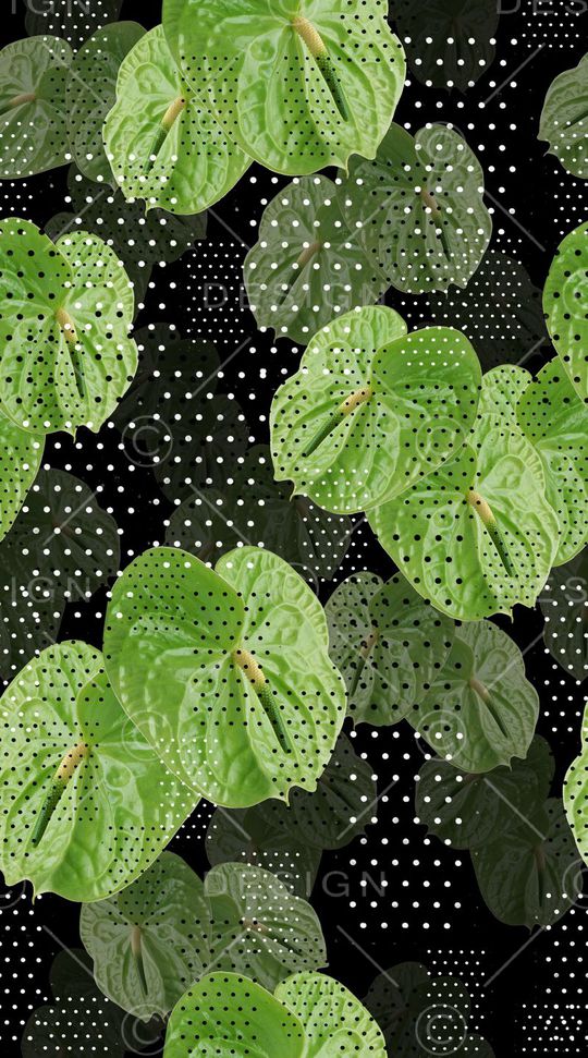 波点印花华亿平台图片