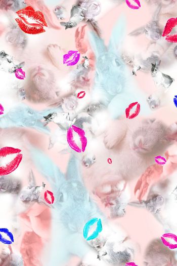 388231-红唇大白兔求胡萝卜包养