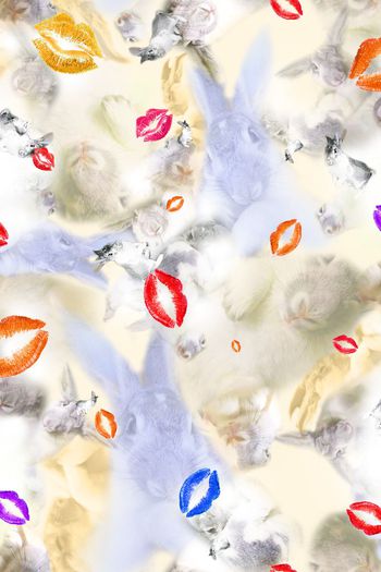 388232-红唇大白兔求胡萝卜包养