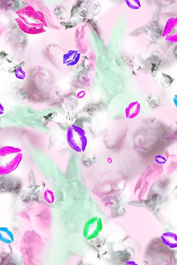 388233-红唇大白兔求胡萝卜包养