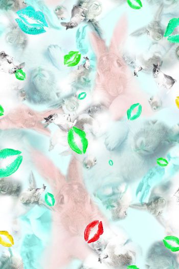 388236-红唇大白兔求胡萝卜包养