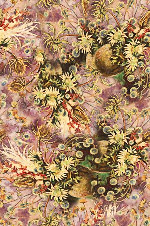 油画印花华亿平台图片