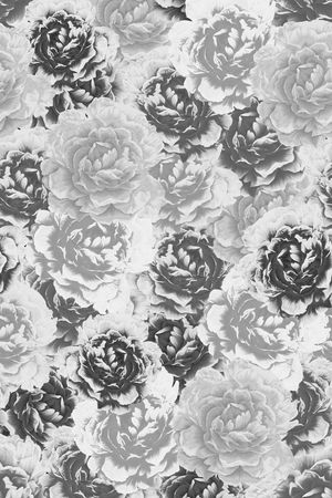 黑白印花华亿平台图片