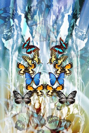 动物印花华亿平台图片