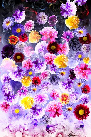 时尚印花华亿平台图片