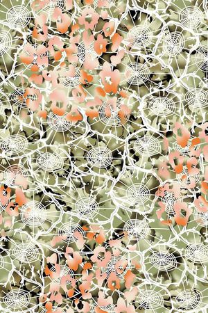 抽象印花华亿平台图片