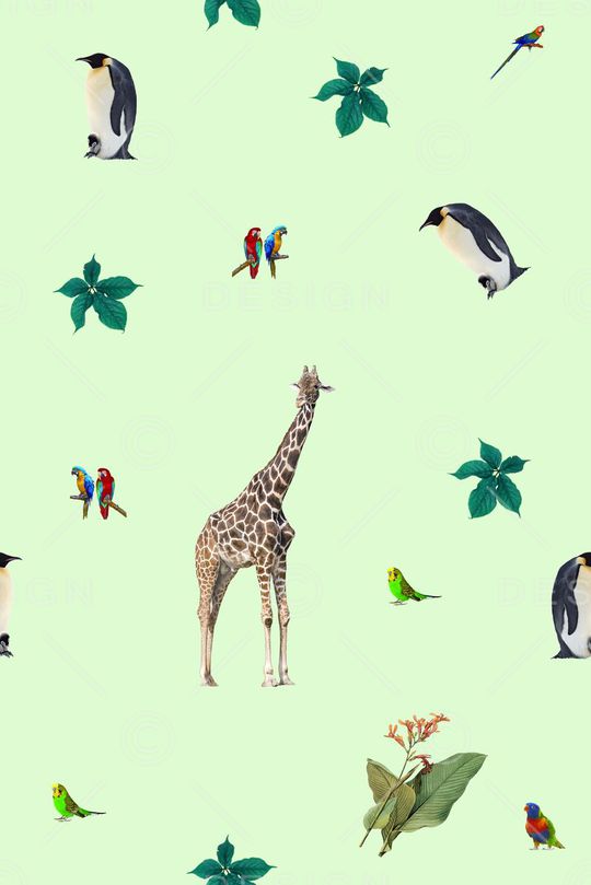 潮流印花华亿平台图片