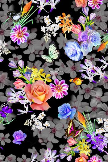 388557-多彩蝴蝶花卉组合