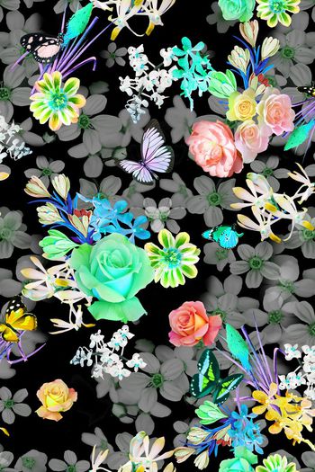 388560-多彩蝴蝶花卉组合