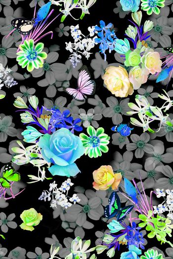 388561-多彩蝴蝶花卉组合