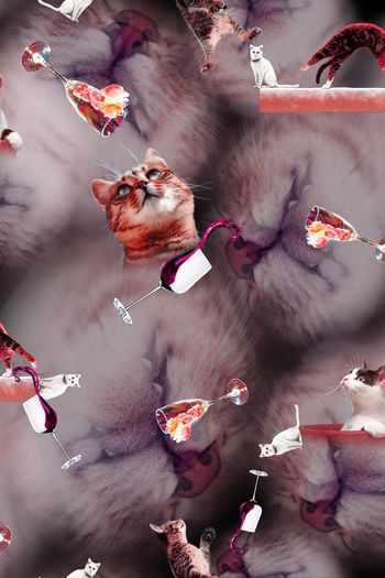 388563-瓦蓝大猫眯愣是把我看醉了