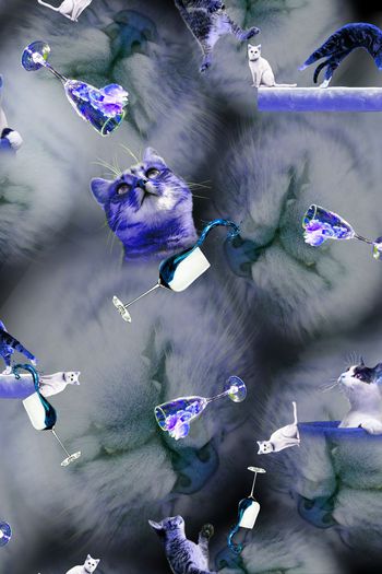 388564-瓦蓝大猫眯愣是把我看醉了