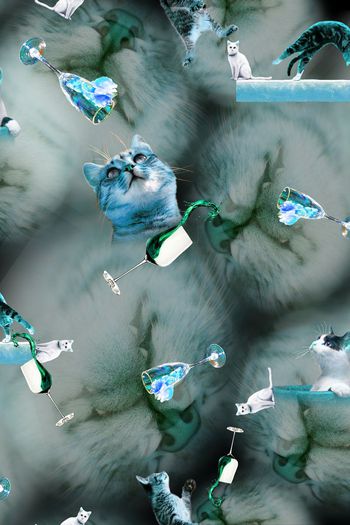 388565-瓦蓝大猫眯愣是把我看醉了