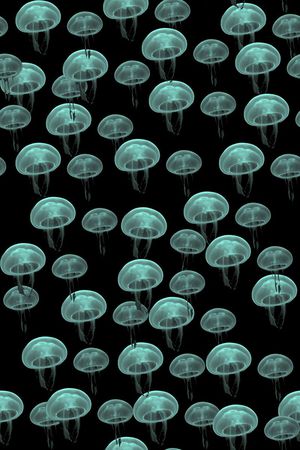 可爱男装波点水母印花华亿平台图片