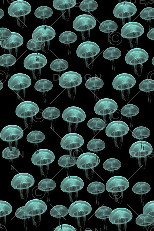 可爱男装波点水母印花华亿平台图片