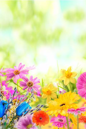 菊花印花华亿平台图片